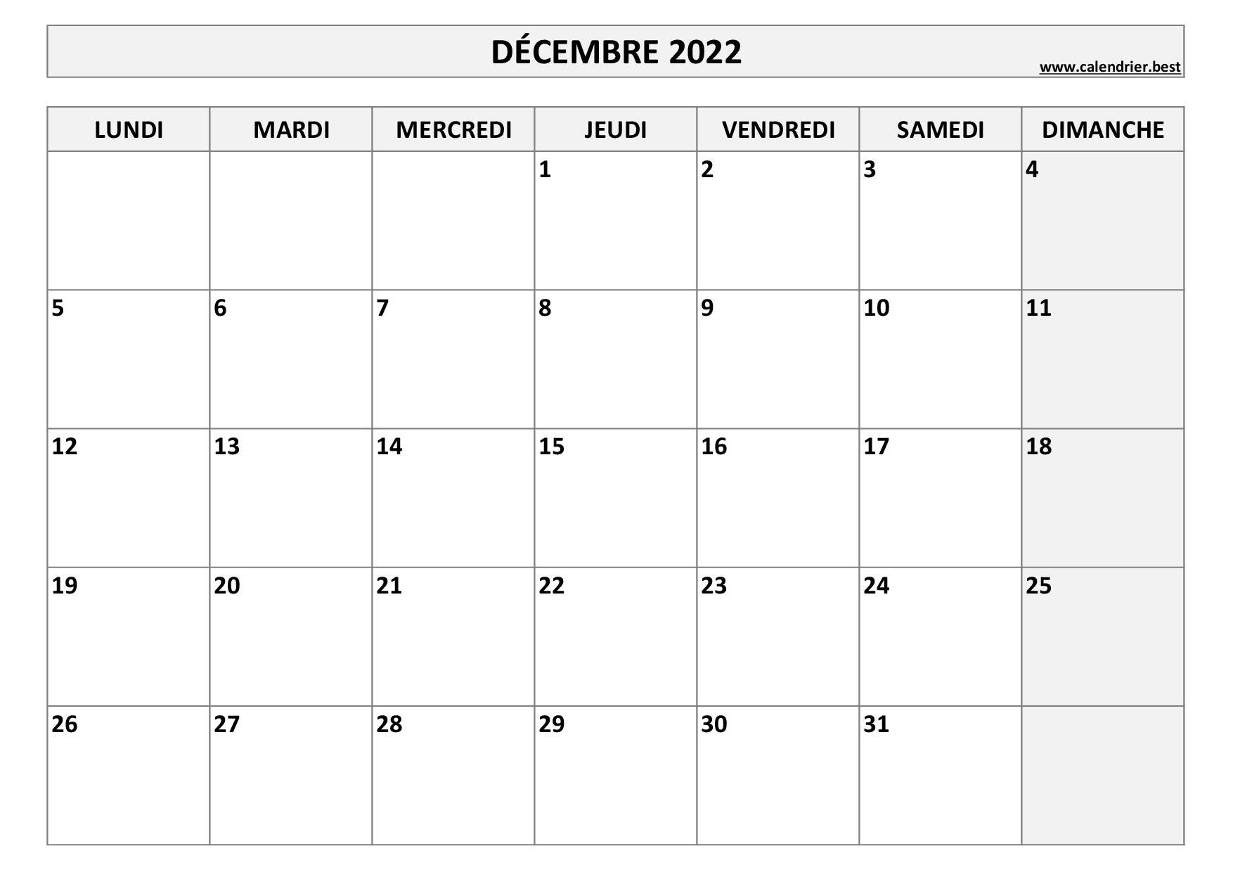 Agenda 2022 1 jour par page Janvier 2022 à Décembre 2022 (12 mois