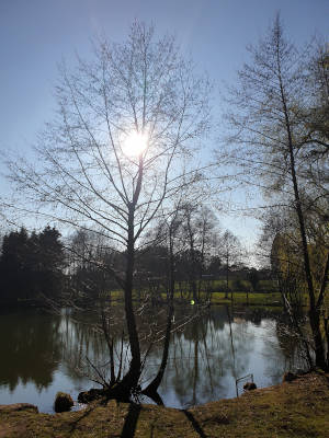 Photo illustrant les saisons : automne et bord de lac.