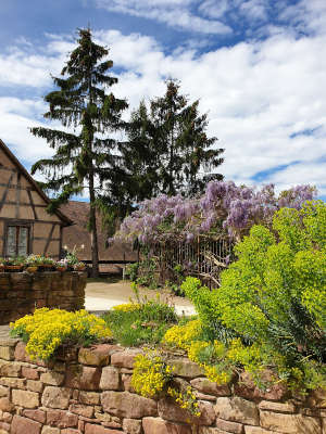 Photo illustrant les saisons : printemps coloré